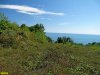 Участок леса, проданный Метлиным, возвышается над Черным морем