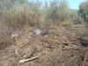 Обгоревшая куча отходов лесопилки