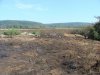Трава сгорела, и стали видны незаконные свалки