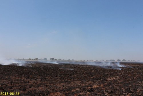 Дым от тлеющей плавни разносится на десятки километров вокруг