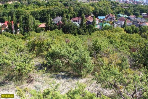 Проданный в собственность горный участок с реликтовым лесом примыкает к Мысхако и очень привлекателен для застройки