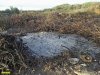 Незаконная свалка в карьере южнее Абинска