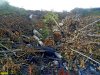 Незаконная свалка в карьере южнее Абинска