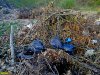 Незаконная свалка в карьере южнее Абинска