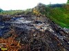 Свалка возле Абинска. Завозимые на свалку отходы сжигаются в целях освобождения места для нового мусора