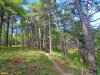 Храпакова щель. На лесной тропе к Чёрному морю арендатор поставил дома и не пропускает отдыхающих через лес
