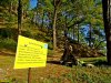 Табличка об аренде "КомАрхСтроя" в береговой зоне урочища Храпакова щель