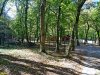 Лесной участок в районе Бетты, незаконно огороженный ООО "Морская звезда"