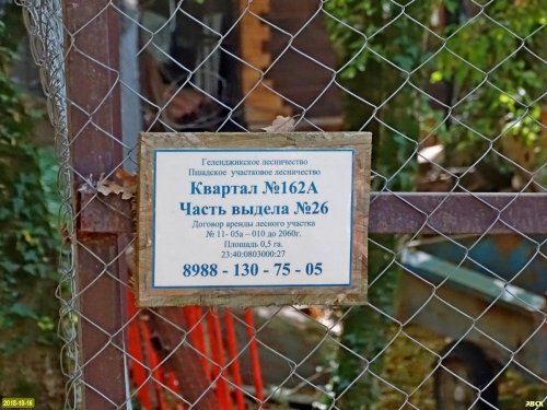 Лесной участок в районе Бетты, незаконно огороженный ООО "Морская звезда"