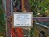 Лесной участок в районе Бетты, незаконно огороженный ООО "Морская звезда"