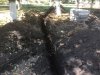 Под корнями роют ямы для ненужной иллюминации