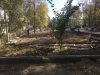 Воркаут вместо деревьев
