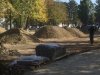 Скейт-площадка вместо деревьев
