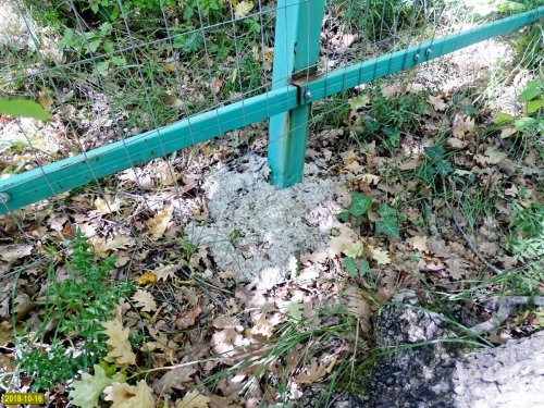 Столбы забора надежно забетонированы в землю