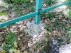 Столбы забора надежно забетонированы в землю
