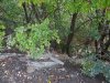 Заваленная строительным мусором Вербовая балка в Новороссийске. Фото октября этого года