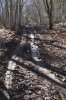 Волок от места рубок под Ивановой поляной (Мезмай)