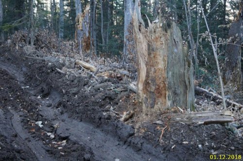 Волока изуродовали территорию рубок