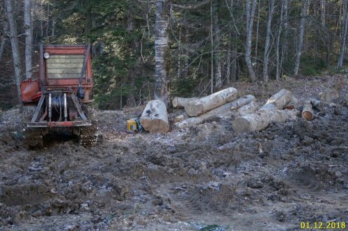 Вырубки под Ивановой поляной в районе Мезмая