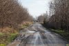 Разбитая большегрузами улица Яблоневая в СНТ "Урожай"