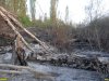 Пожар на Большом острове в Краснодаре