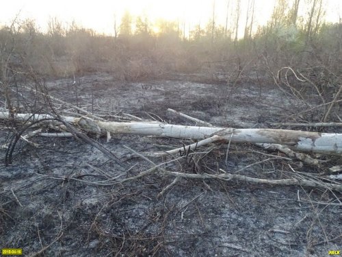 Пожар на Большом острове в Краснодаре