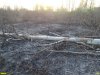 Пожар на Большом острове в Краснодаре