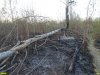 Пожар на Большом острове в Краснодаре