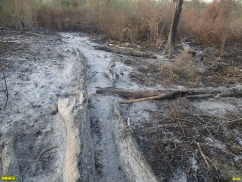Пожар на Большом острове в Краснодаре