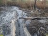 Пожар на Большом острове в Краснодаре