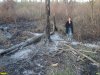 Пожар на Большом острове в Краснодаре