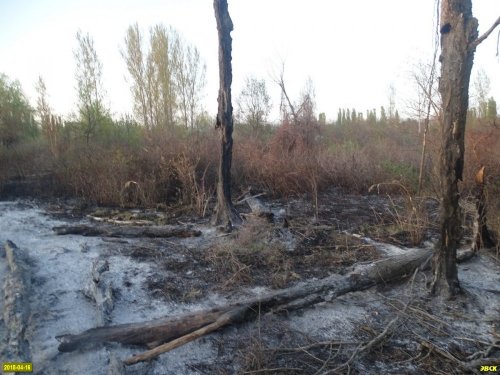 Пожар на Большом острове в Краснодаре