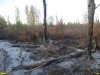 Пожар на Большом острове в Краснодаре