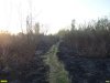 Пожар на Большом острове в Краснодаре