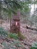 Затёс на отведённой в рубку пихте