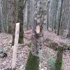 Деляночный столбик и затёс на отведённом в рубку буке
