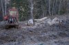 Крупномасштабная вырубка в районе станицы Темнолесской