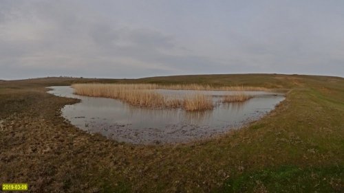 Запорожско-Таманский заказник, озеро к северу от поселка Гаркуша