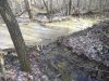Пересечённый лесовозным волоком ручей заболотил местность
