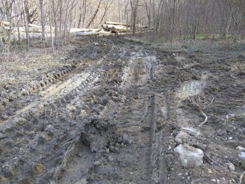 Лесовозный волок и заготовленная на горе Герсеванова древесина