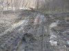 Лесовозный волок и заготовленная на горе Герсеванова древесина