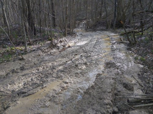 Разбитая лесовозными волоками земля на горе Герсеванова