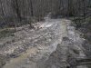 Разбитая лесовозными волоками земля на горе Герсеванова