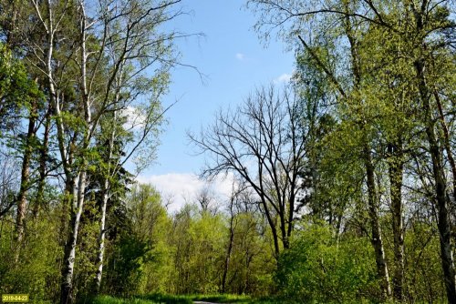 Урочище Майская гора (Средняя Дубинка)