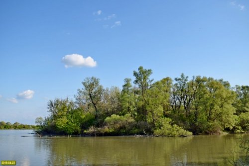 Елизаветинский остров