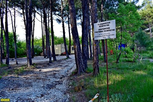 Табличка об аренде участка в бывшем кемпинге "Голубая бездна" на территории памятника природы "Роща сосны пицундской"