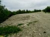 На месте засыпанной грунтом свалки раньше рос лес