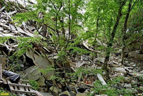 "Патриаршья" свалка в лесу под Дивноморском