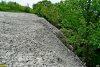 Отходами и грунтом завалили большой участок леса под Дивноморском