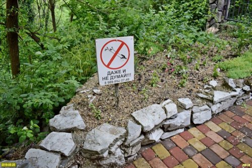 Застройка земель лесного фонда в районе Криницы компанией "Изумрудный берег"